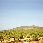 RIVESALTES (14)