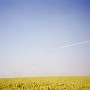 DEBARQUEMENT (10)