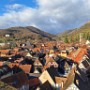 RIBEAUVILLE (8)