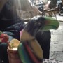 2015-06-20 23.13.33