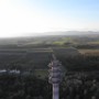 Marckolsheim (6)