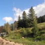 WRC 2014 PETIT BALLON AVEC NICO (8)