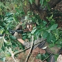 BIVOUAC (14)