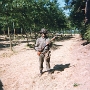 BIVOUAC (17)