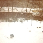 PERM (1)