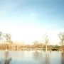 PERM (2)