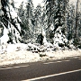 PERM (8)