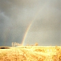 BT DUCEY (1)