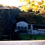BT DUCEY (6)