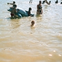 Bairon 2006 (3)