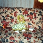naissance (4)