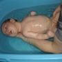 CLEMENT H (5)