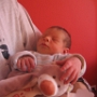 CLEMENT H (8)
