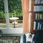 PHOTOS CLEMENT (18)