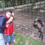 Parc Bouillon Belgique (2)