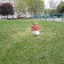 3 ANS FLORA JOUR DE PAQUES (19)