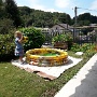 Flora juillet 2017 (8)