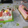 4 ANS FLORA (17)