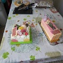 4 ANS FLORA (3)