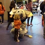 am parc expos Locagonfle (15)