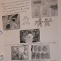Classeur travail (7)