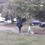 vlcsnap-2018-11-11-15h19m05s805