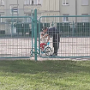 Velo sans roulettes (1)