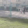 Velo sans roulettes (2)