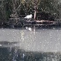 NATUROPARK HUNAWIHR (1)