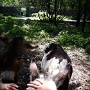 NATUROPARK HUNAWIHR (14)