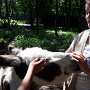 NATUROPARK HUNAWIHR (15)