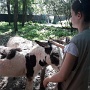 NATUROPARK HUNAWIHR (17)
