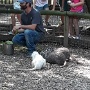 NATUROPARK HUNAWIHR (18)