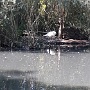 NATUROPARK HUNAWIHR (2)
