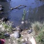 NATUROPARK HUNAWIHR (3)