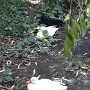 NATUROPARK HUNAWIHR (5)