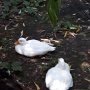 NATUROPARK HUNAWIHR (6)