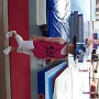 stage gym 2019 flora (9)