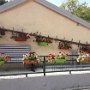 AOUT 2020 Flora (17)