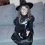 halloweene 2020 (5)