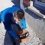 chasse aux oeufs Fougerolles (3)