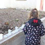 chasse aux oeufs Fougerolles (6)