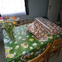 FLORA 7 ANS (14)