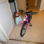 FLORA 7 ANS (8)