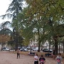 COURSE ELA FLORA 2022 (11)