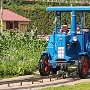 cigoland ce1 Flora (14)