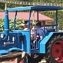 cigoland ce1 Flora (15)