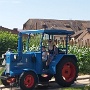 cigoland ce1 Flora (19)