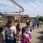 cigoland ce1 Flora (9)