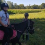 Stage equitation aout 2022 (11)
